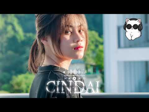 Lagu Joget  - CINDAI MIX terbaru 2026 || SRNumberZero