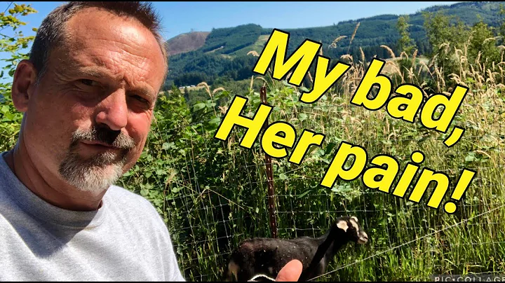 Goat fencing mistake that could endanger your animals.