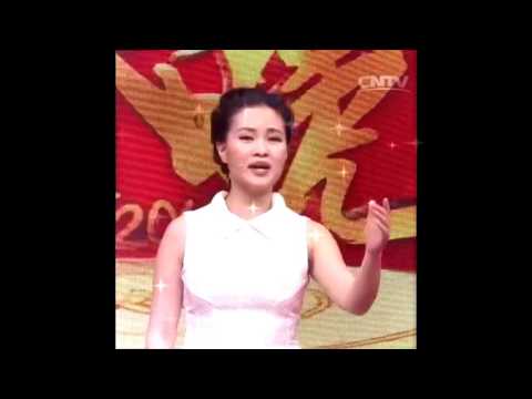 雷佳清唱《鸿雁》 2016明星拜年