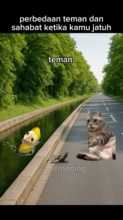ketawa dulu baru nolongin😅 #meme #memekucing #kucing #kucinglucu #shorts #catlovers