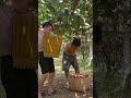 Cuộc sống thật không dễ dàng p648 #shorts