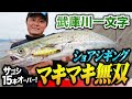 【武庫一】マキマキ無双！秋のハイシーズンにサゴシ15本オーバー!? in武庫川一文字