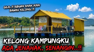 Mancing di Kelong Rumah Rakit Kampungku | Ribuan Anak Ikan Bawah Kelong