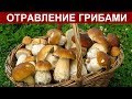 ОТРАВЛЕНИЕ ГРИБАМИ СИМПТОМЫ. ПОМОЩЬ ПРИ ОТРАВЛЕНИИ ГРИБАМИ