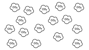 Episode 7: Carbon Offsetting – The Right Way to Do It