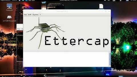 Ddos Attack Using Ettercap using kali linux (Perrot OS)