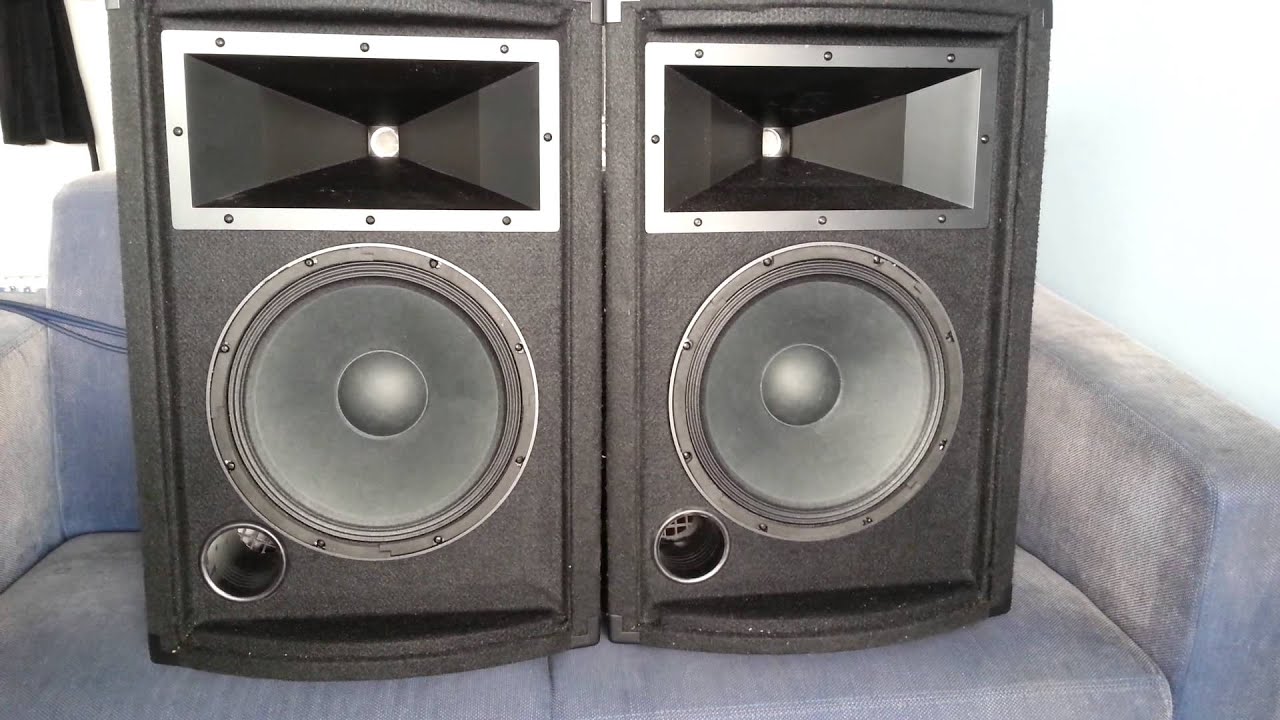 thukral speaker 10 inch price