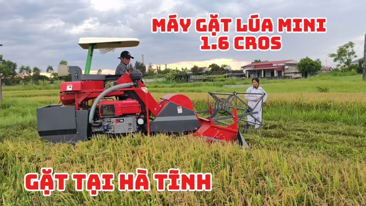 Máy gặt lúa mini 1.6 cros gặt thực tế tại Hà Tĩnh. #maygatluamini