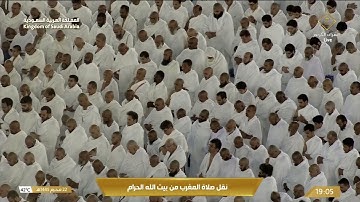 مغرب الأربعاء|للشيخ #أسامة_خياط 22-1-1445هـ | من سورة فصلت