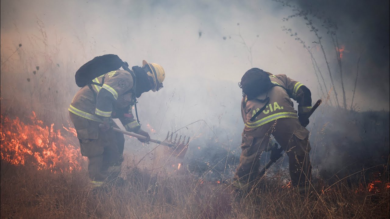 Análisis | Arresto por incendios forestales provocados en el sur de Chile