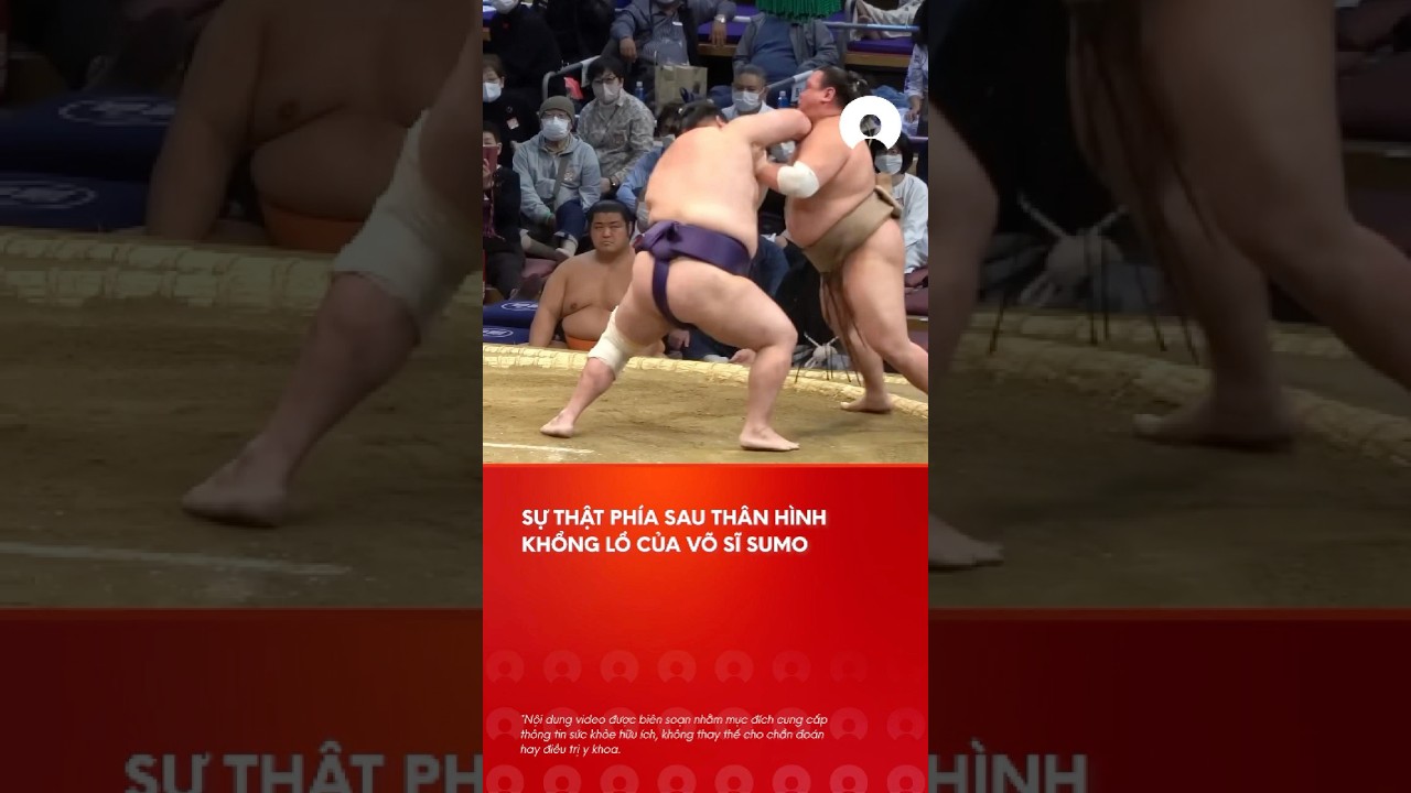 Sá»± tháº­t vá» sá»©c khá»e cá»§a nhá»¯ng vÃµ sÄ© sumo Nháº­t Báº£n #sumo #nhatban