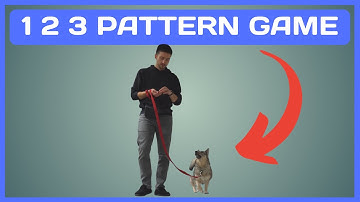 How to Teach your Dog the 1 2 3 Pattern Game