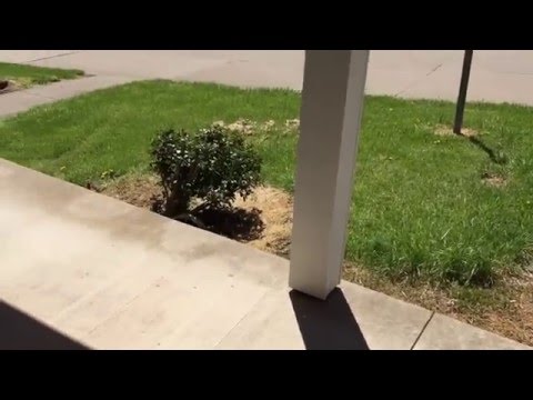 Virtual Tour - Dutch Hills Terrace in Parkersburg, WV 26104