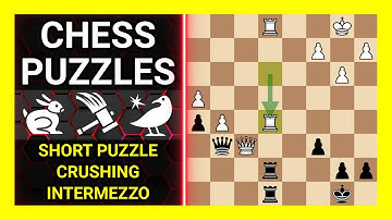 Chess Puzzles to Practice. Themes: Short puzzle, Crushing, Intermezzo. Learn Chess