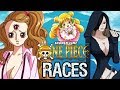 All Races in One Piece Explained! Humans, Giants, Minks & More | Tekking101