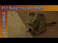 C&S ANIMALS #12: Bang! You are dead!