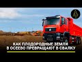 Перерой-поле: как плодородные земли в Осеево превращают в свалку