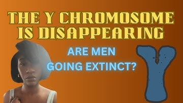 The End of the Y Chromosome—Is Evolution Phasing Out Men?🧬 | Deconstructing Patriarchy 