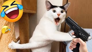 Try Not To Laugh 🤑 Funniest Cats and Dogs 2024 🐕🐈