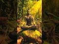 🌺🙏🌺#swami ayyappa song shorts#sabarimalaayyappan # viral#trending#