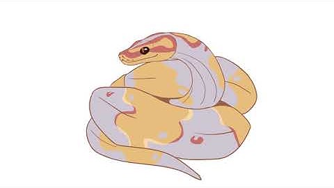 2D Animation Reel 2023