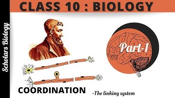 Class 10 Biology-Coordination-Part-1