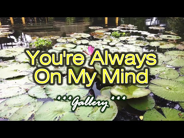 You're Always On My Mind - KARAOKE VERSION - Gallery class=