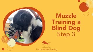 Muzzle Training Step 3