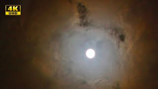 Луна в облаках. Ночное небо. Летят облака на фоне Луны - 4К видео