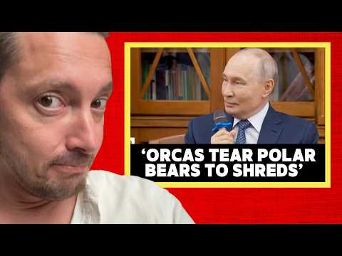 Putin’s orca comment reveals a deep problem about our politics