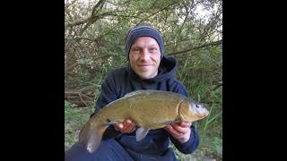 Tench fishing using the lift method, My best day so far.