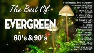Greatest Relaxing Love Songs 80's 90's 💗 The Most Romantic Evergreen Songs Of All Time Playlist