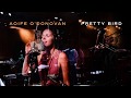 Aoife O'Donovan - "Pretty Bird" (Official Audio)