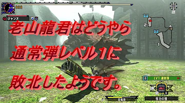 巨大龍の侵攻 ソロ 巨大龍の侵攻 ソロ