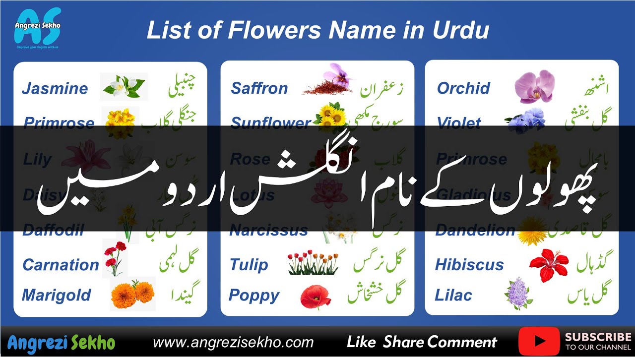 Flowers Name In Urdu Hindi