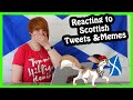 He Made His Kids do WHAT!?! (Scottish Twitter Reaction)