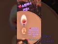 ❤️오늘 아주 좋은일들이 생기실거 같아요!모닝초꽃이  전부 피었네요!하루의 주어진 것들에 감사!행복한 날!  #행운초꽃 #좋은예감 #좋은일들 #감사 #행복 #인생 #생각을멈추다보면