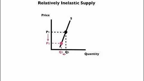 Elasticity and Its Application