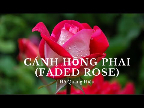 Video Canh Hong Phai [English subs] - youtube