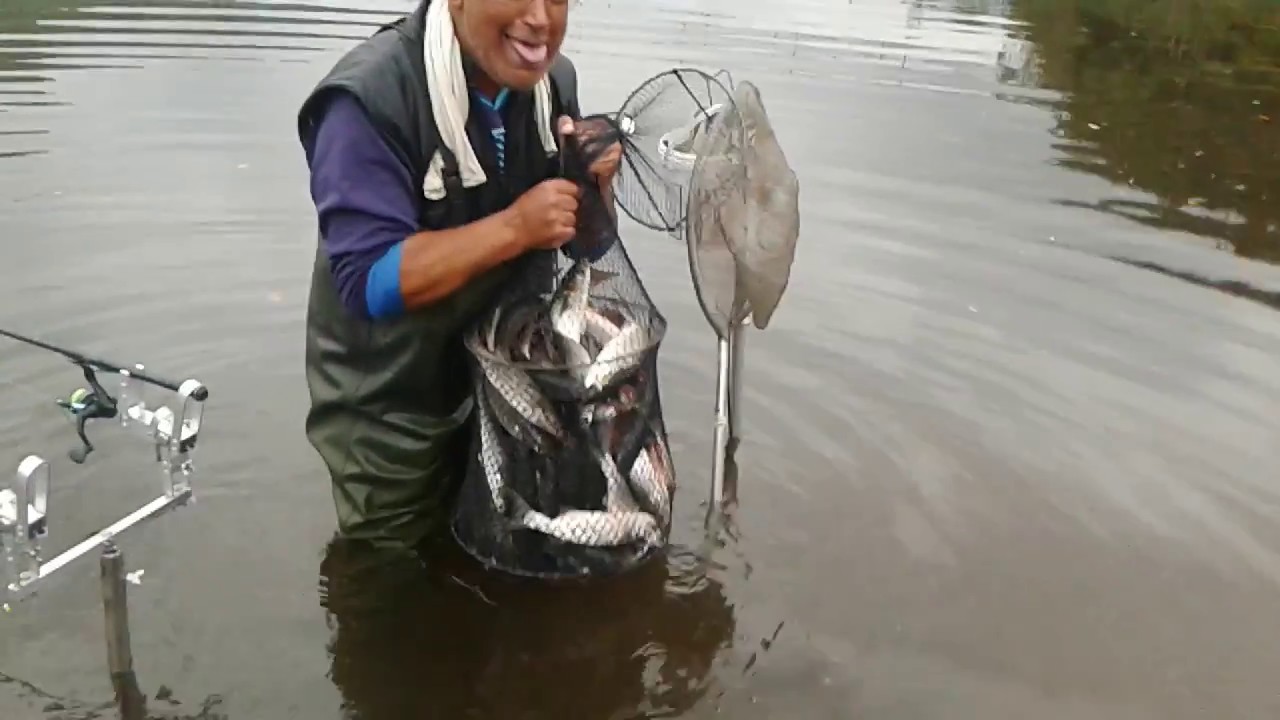 Pescaria de tainha  no rio Jurubatuba Nelson e Ari time de matador