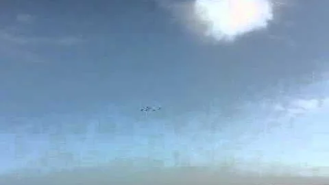 Como as aves encontram a rota de migração e chega exatamente ao local em que desejam?