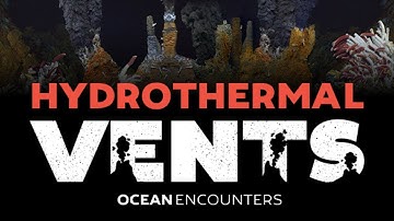 Ocean Encounters: Hydrothermal Vents