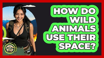 How Do Wild Animals Use Their Space?
