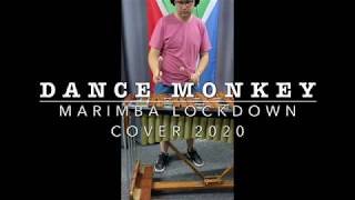 Marimba Cover of 'Dance Monkey' originally by Tones and I