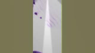 Howrah se Chal Ke Aayenge Chhapra chote manayenge