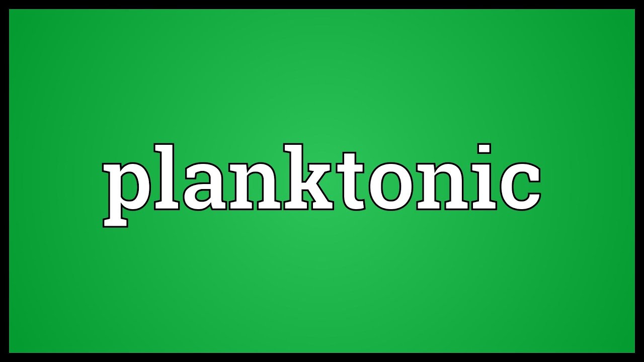 Planktonic Meaning Youtube