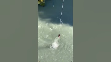 Thumbnail of CRAZIEST Bungee Jump Ever 😂 (@bunggeejump)