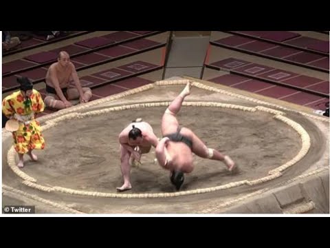 Moment of incident: Sumo wrestler Hibikiryu thrown during match