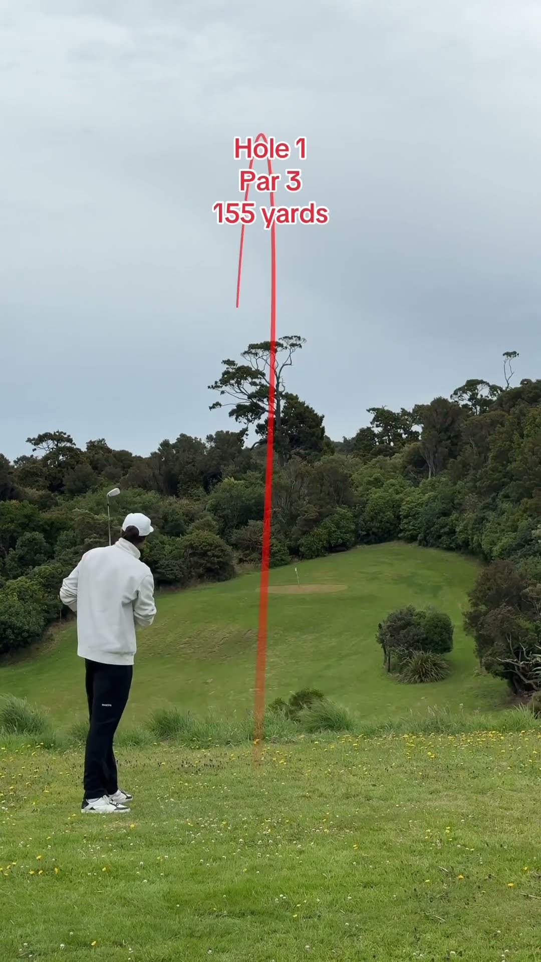 Day 354: Playing GOLF EVERYDAY until I get 18 pars