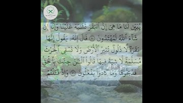 سورة البقرة  الشيخ محمد الفقيه  #quotes #اكسبلور #forupage #duet #quran #تيك_توك #dosa #دويتو #peace